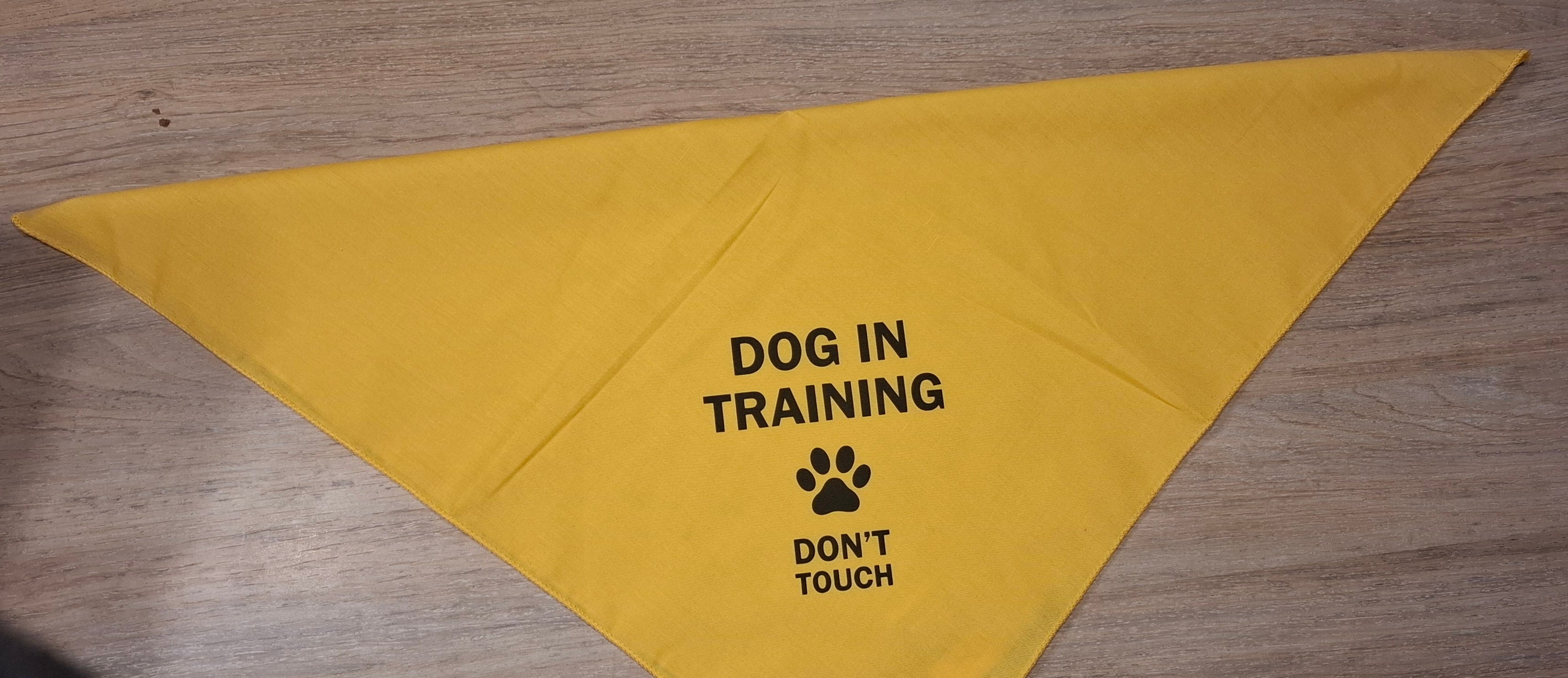 Bandana DOG IN TRAINING