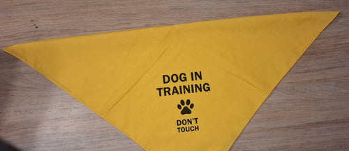 Bandana DOG IN TRAINING