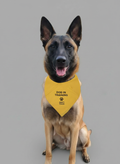 Bandana DOG IN TRAINING